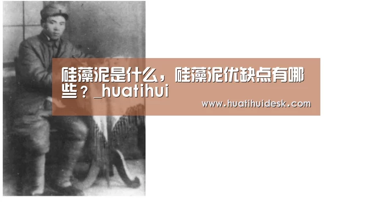 硅藻泥是什么,硅藻泥优缺点有哪些?_huatihui(图3) 华体会官网在线