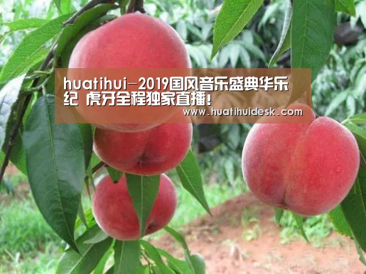 huatihui-2019国风音乐盛典华乐纪 虎牙全程独家直播!(图1) 华体会登陆
