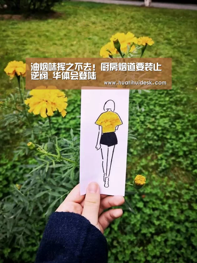 油烟味挥之不去！厨房烟道要装止逆阀_华体会登陆